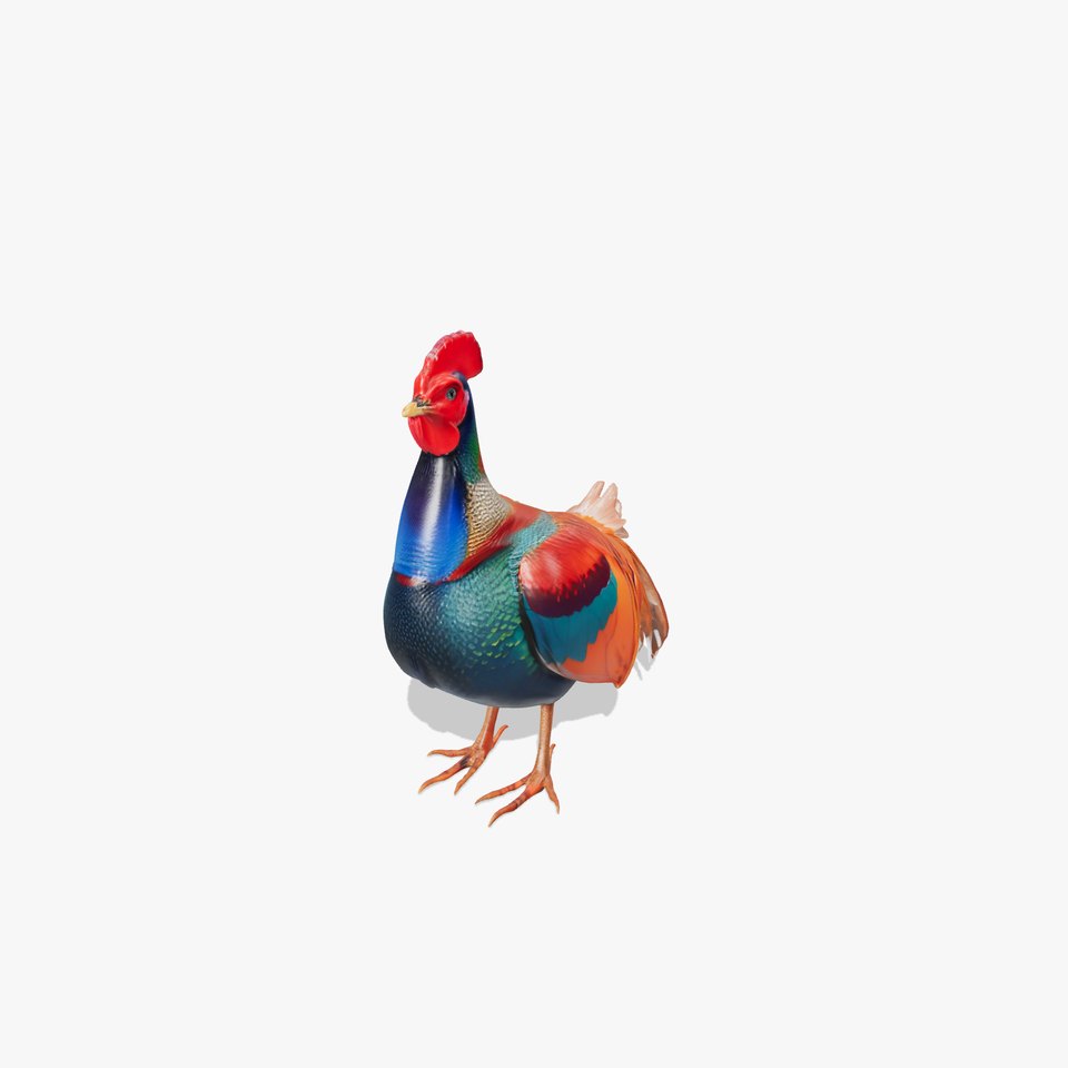 Vibrant Rooster model pack